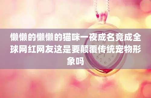 懒懒的懒懒的猫咪一夜成名竟成全球网红网友这是要颠覆传统宠物形象吗