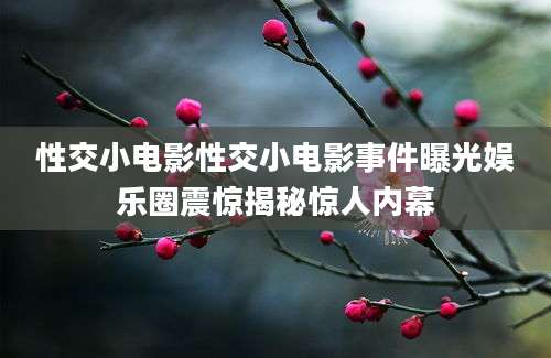 性交小电影性交小电影事件曝光娱乐圈震惊揭秘惊人内幕