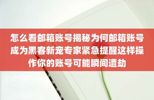 怎么看邮箱账号揭秘为何邮箱账号成为黑客新宠专家紧急提醒这样操作你的账号可能瞬间遭劫