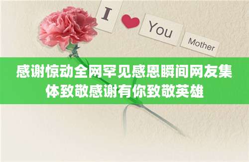 感谢惊动全网罕见感恩瞬间网友集体致敬感谢有你致敬英雄