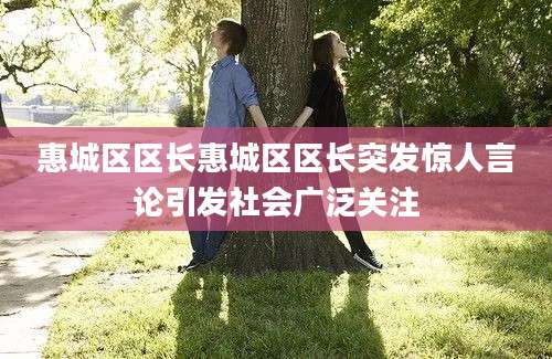 惠城区区长惠城区区长突发惊人言论引发社会广泛关注