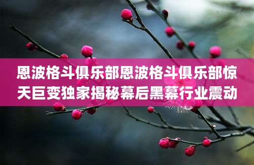 恩波格斗俱乐部恩波格斗俱乐部惊天巨变独家揭秘幕后黑幕行业震动