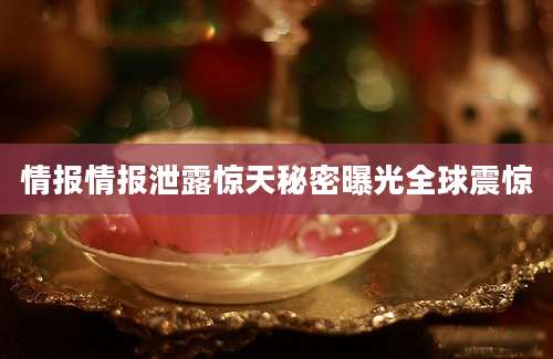 情报情报泄露惊天秘密曝光全球震惊