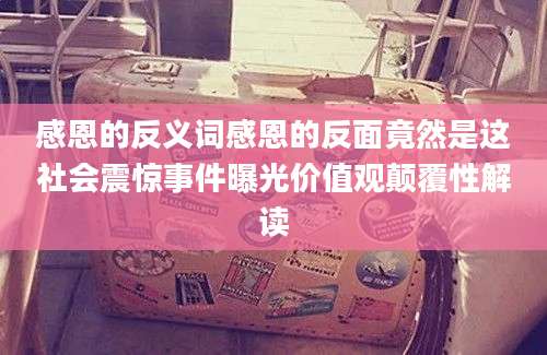 感恩的反义词感恩的反面竟然是这社会震惊事件曝光价值观颠覆性解读
