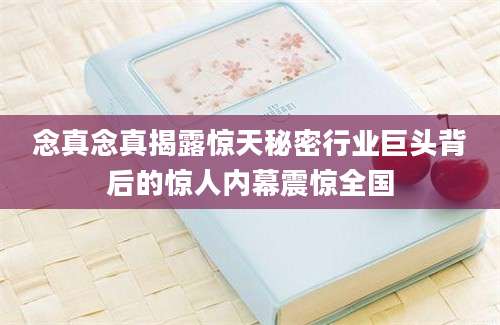 念真念真揭露惊天秘密行业巨头背后的惊人内幕震惊全国