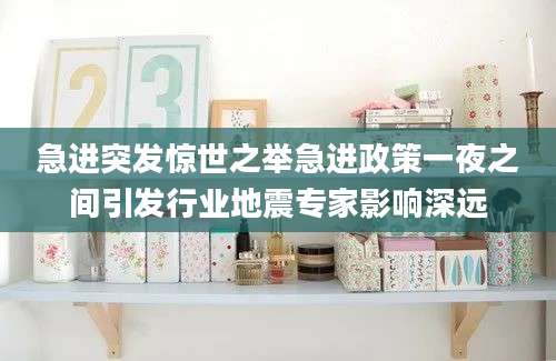 急进突发惊世之举急进政策一夜之间引发行业地震专家影响深远
