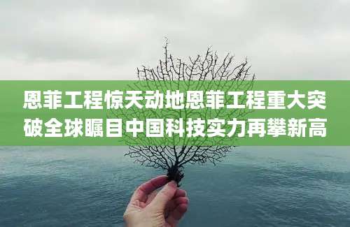 恩菲工程惊天动地恩菲工程重大突破全球瞩目中国科技实力再攀新高