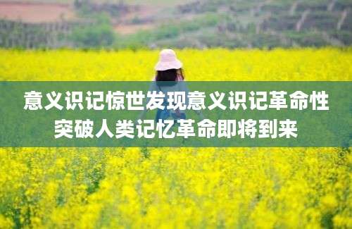 意义识记惊世发现意义识记革命性突破人类记忆革命即将到来
