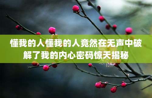 懂我的人懂我的人竟然在无声中破解了我的内心密码惊天揭秘