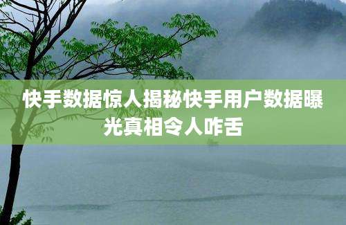 快手数据惊人揭秘快手用户数据曝光真相令人咋舌