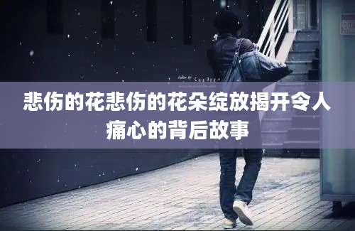 悲伤的花悲伤的花朵绽放揭开令人痛心的背后故事