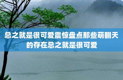 总之就是很可爱震惊盘点那些萌翻天的存在总之就是很可爱
