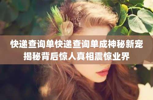 快递查询单快递查询单成神秘新宠揭秘背后惊人真相震惊业界