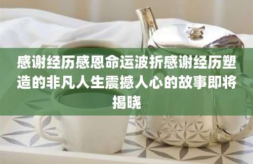 感谢经历感恩命运波折感谢经历塑造的非凡人生震撼人心的故事即将揭晓