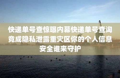 快递单号查惊曝内幕快递单号查询竟成隐私泄露重灾区你的个人信息安全谁来守护