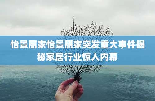怡景丽家怡景丽家突发重大事件揭秘家居行业惊人内幕