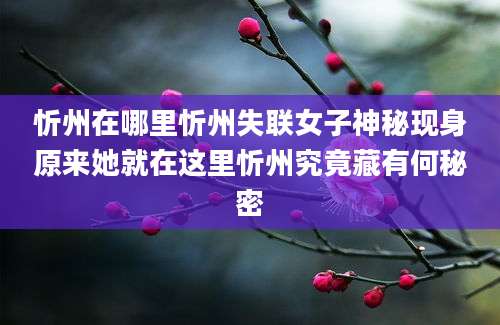 忻州在哪里忻州失联女子神秘现身原来她就在这里忻州究竟藏有何秘密