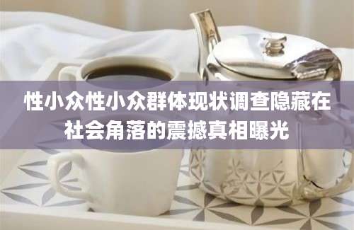 性小众性小众群体现状调查隐藏在社会角落的震撼真相曝光