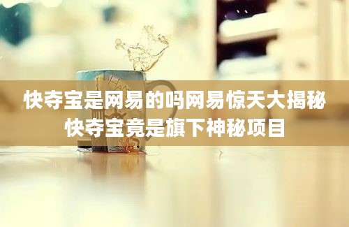 快夺宝是网易的吗网易惊天大揭秘快夺宝竟是旗下神秘项目